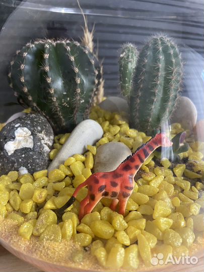 Флорариум#Цветочная композиция