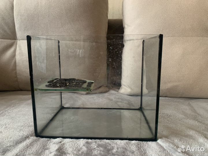 Аквариум для черепах