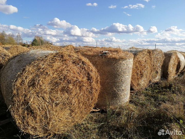 Солома. Сено. Зерно. Комбикорма