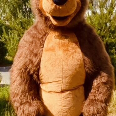 Мишка на день рождения,панда