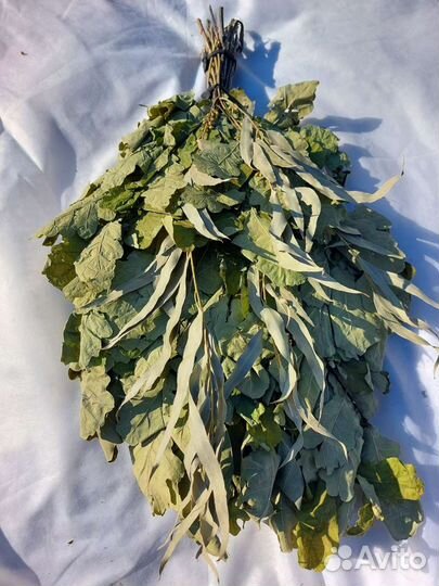 Веники для бани