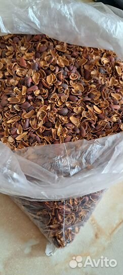 Кедровая шелуха
