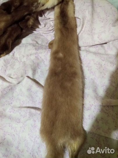 Шкурки : хорёк, ондатра, норка