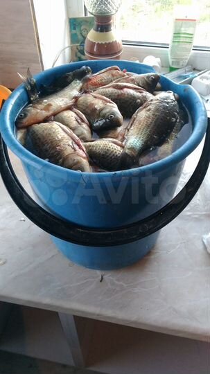 Дом 43 м² на участке 16 сот.