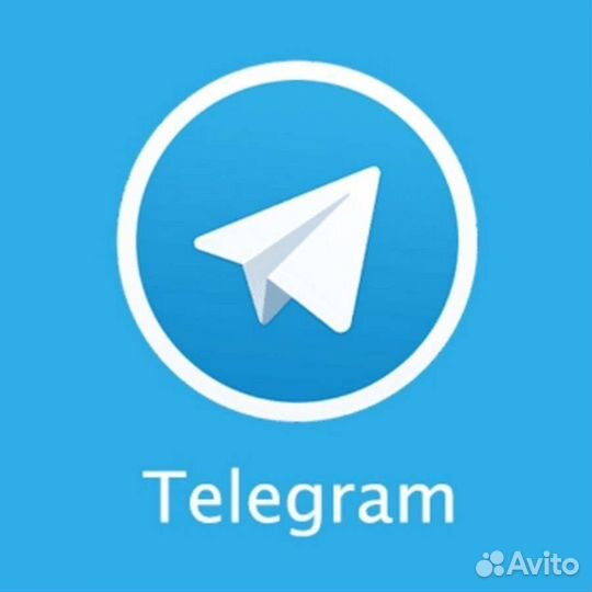 Ищу инвестора, web, telegram