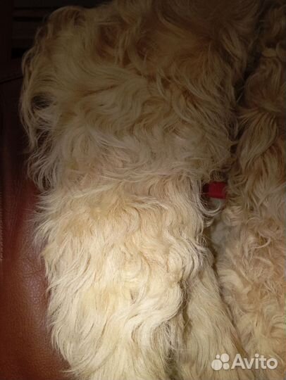 Дубленка натуральная женская