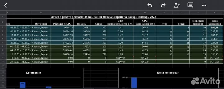 Настройка Яндекс Директ. Маркетинг. Директолог