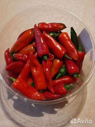 Перец острый чили