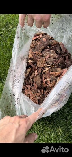 Кора сибирской лиственницы