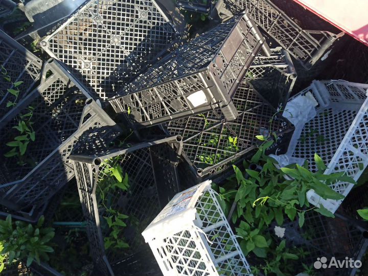 Ящик пластиковый