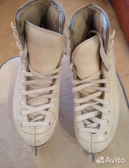 Коньки Wifa Prima Set 31 LL