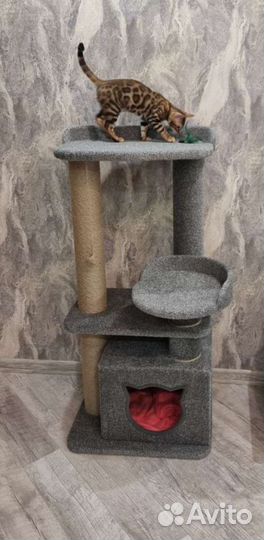 Домики для кошек. Когтеточки Барс