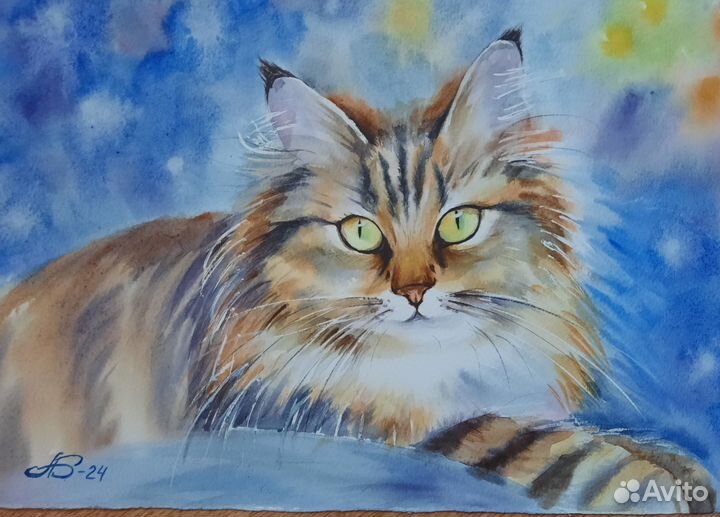 Картинки котики