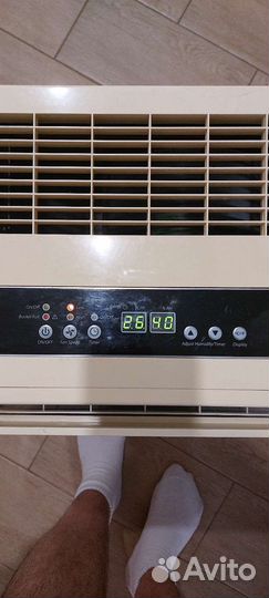 Ballu BDH-40L Осушитель воздуха