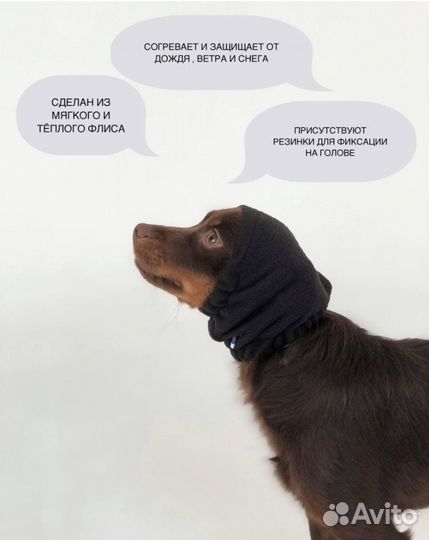 Шапка, ошейник для животных