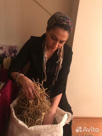 Экстрасенс Гадание Магия Приворот Гадалка Расклад