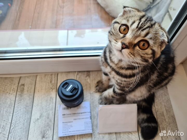 Объектив Canon RF 50mm f/1.8 STM