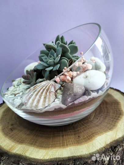 Цветы/ подарок