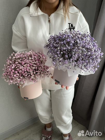 Гипсофила в коробке