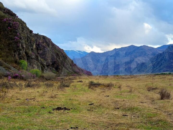 Участок 20 сот. (СНТ, ДНП)