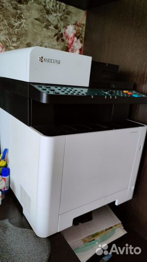 Принтер сканер копир kyocera