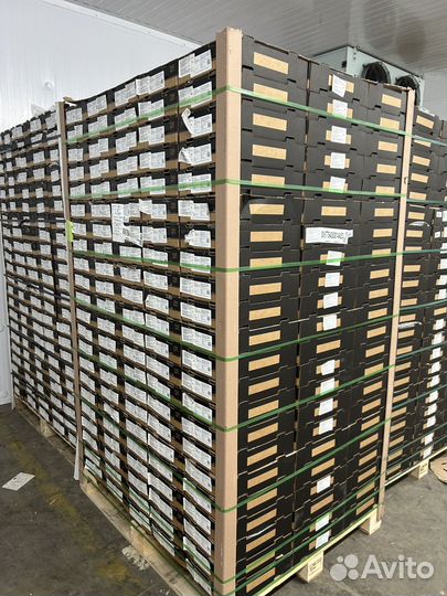 Голубика 1,5кг