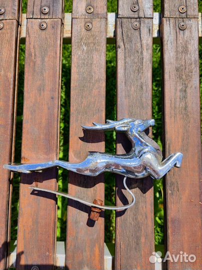 Олень с машины Газ 21