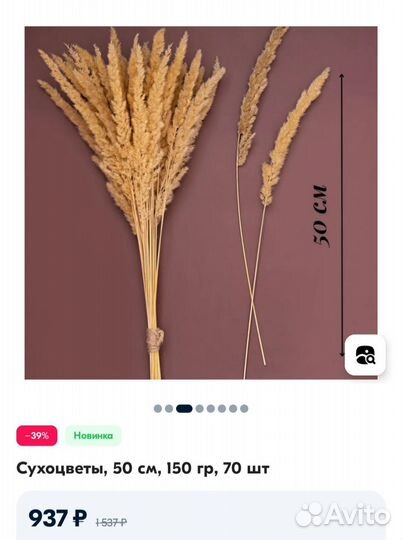 Сухоцветы поделки