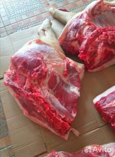 Мясо свинина домашняя
