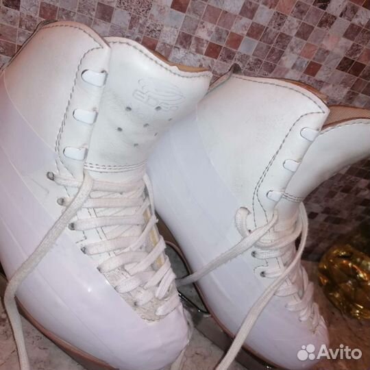 Фигурные коньки edea Motivo