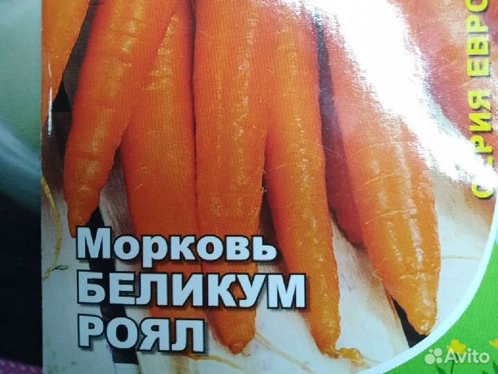 Семена моркови