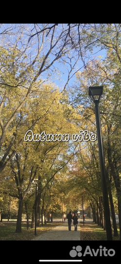 Монтаж видео reels/shorts/tiktok