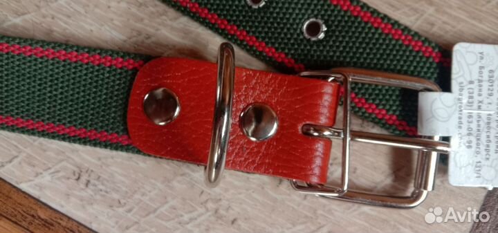 Ошейник и поводок для собаки