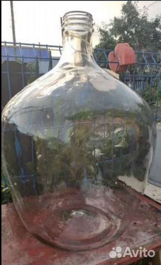 Бутыль 50л стеклянная