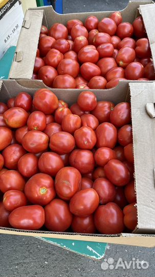 Помидоры сливка