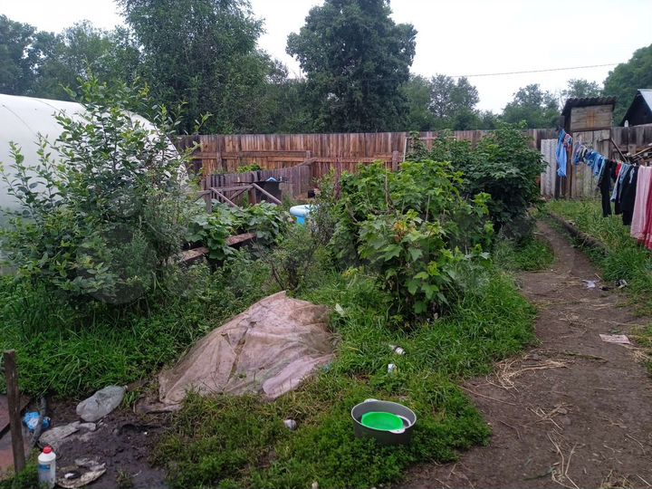 Дом 39,8 м² на участке 20 сот.