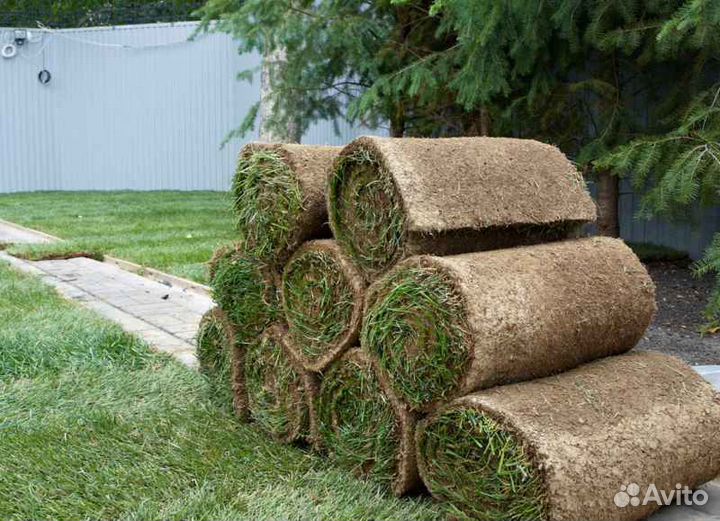 Укладка газона