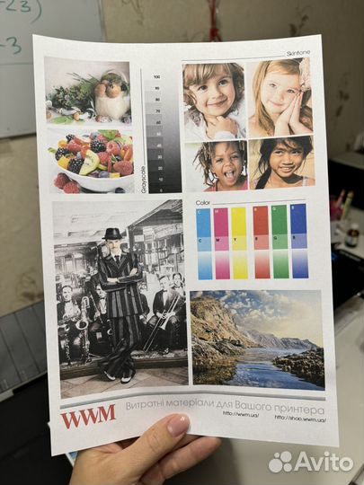 Принтер canon pixma mg2540s