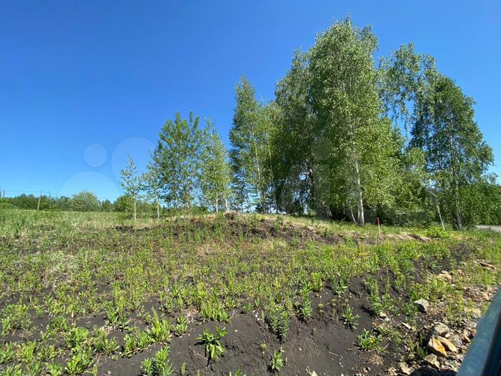 Участок 10 сот. (ИЖС)