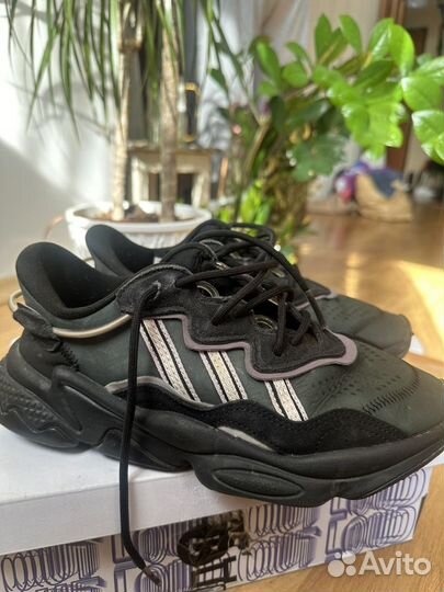 Кроссовки adidas ozweego 38