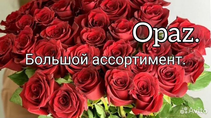 Букет из 35 роз