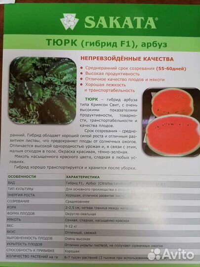 Семена Арбузов