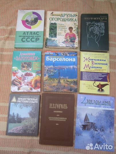 Михаил Кубеев. 100 великих городов мира. 2011 год