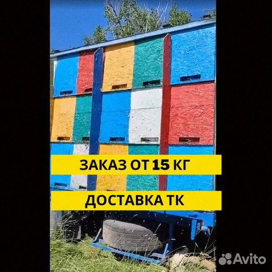 Мед оптом отборные сорта