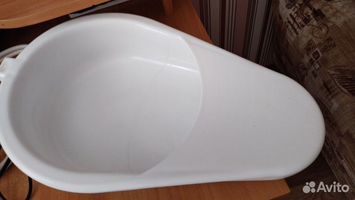 Утка медицинская