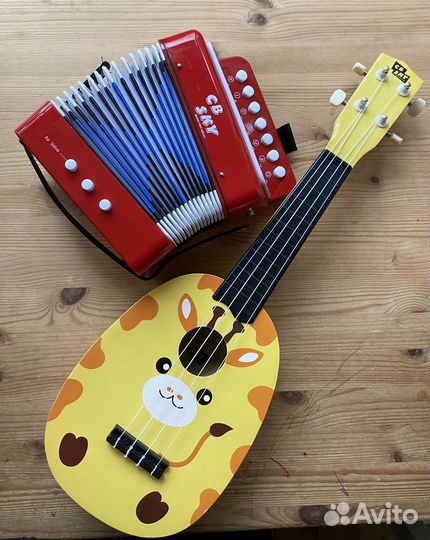Детский аккордеон и гитара CB SKY
