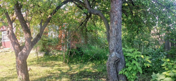 Дом 38,3 м² на участке 11 сот.