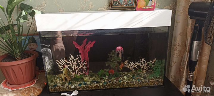 Аквариум