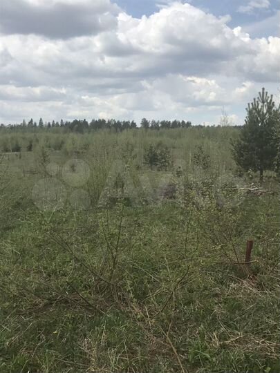 Участок 10 сот. (ИЖС)