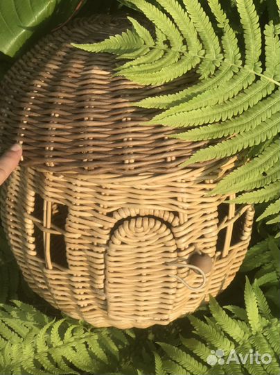 Саквояж и лозы